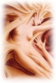 Seraphin's Awakening -Andrew Gonzales